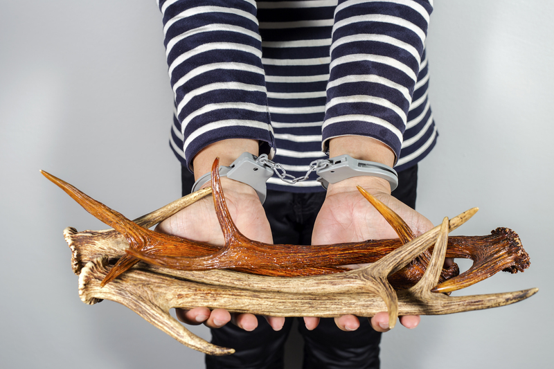 Transforming Old Pots and Pans Through Recycling