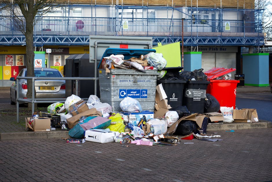 Trusted rubbish removal team Morden Hall Park SM4